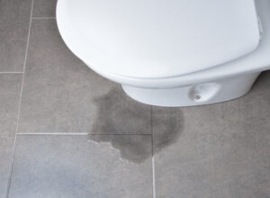 Leakage,Of,Water,From,A,Toilet,Due,To,Blockage,Of Leakage,Of,Water,From,A,Toilet,Due,To,Blockage,Of