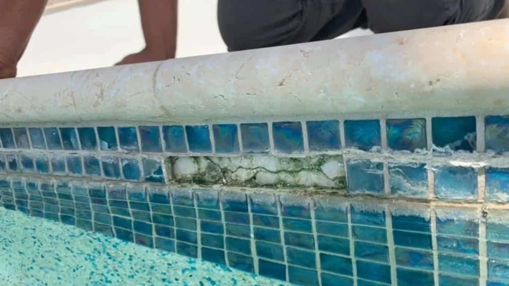 Cracked Shells and Tiles of pool