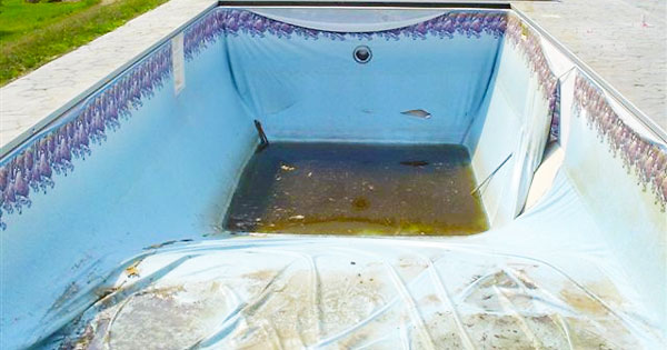 Vinyl Liner Tears