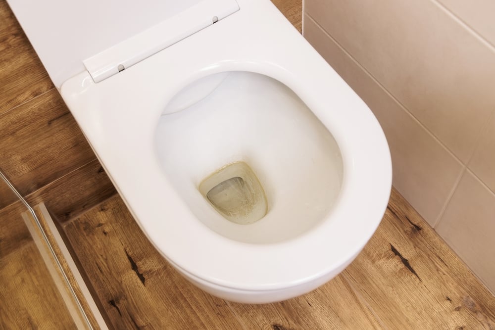 remove toilet stain seq pipe works